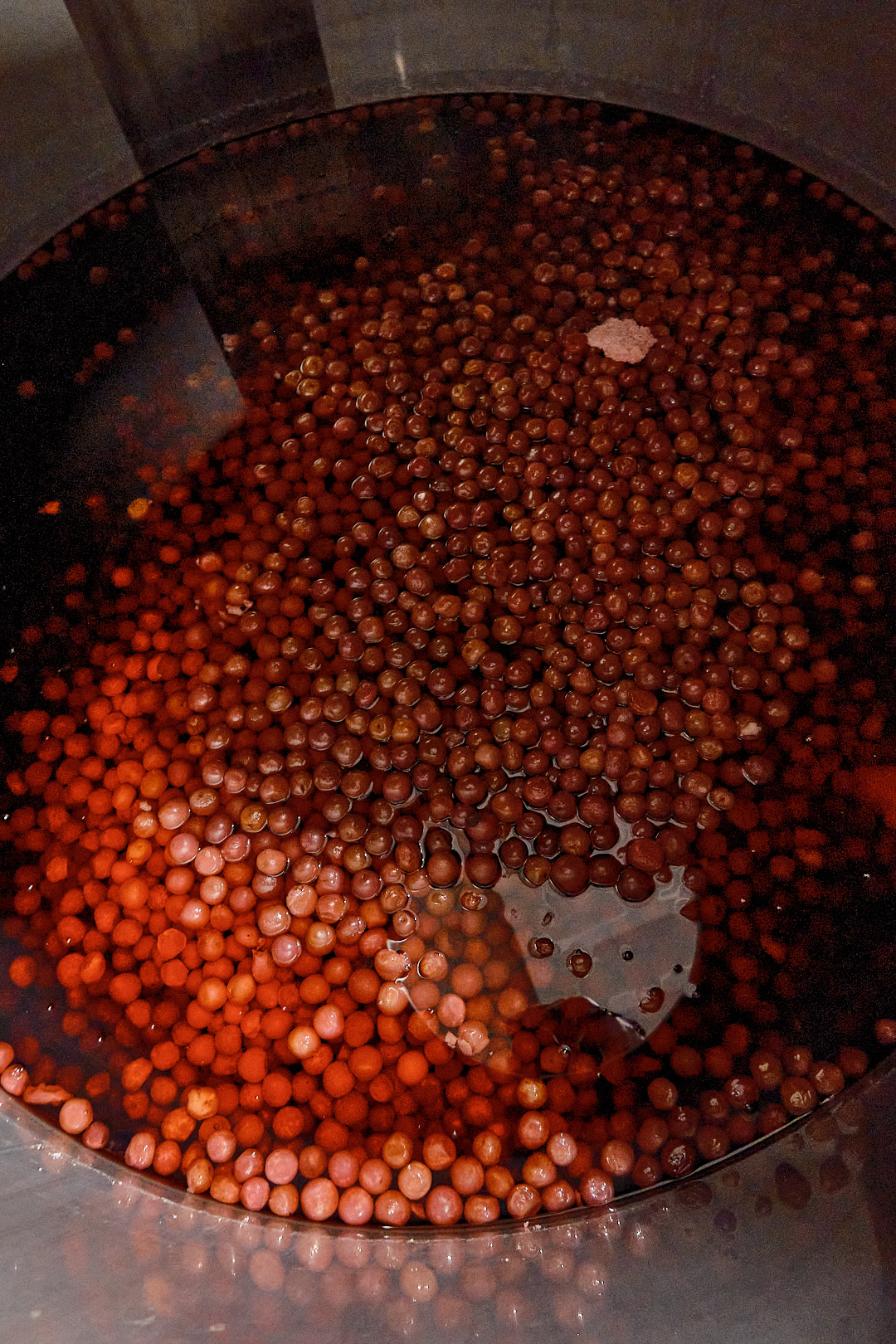 Fruit macerating in steel tank