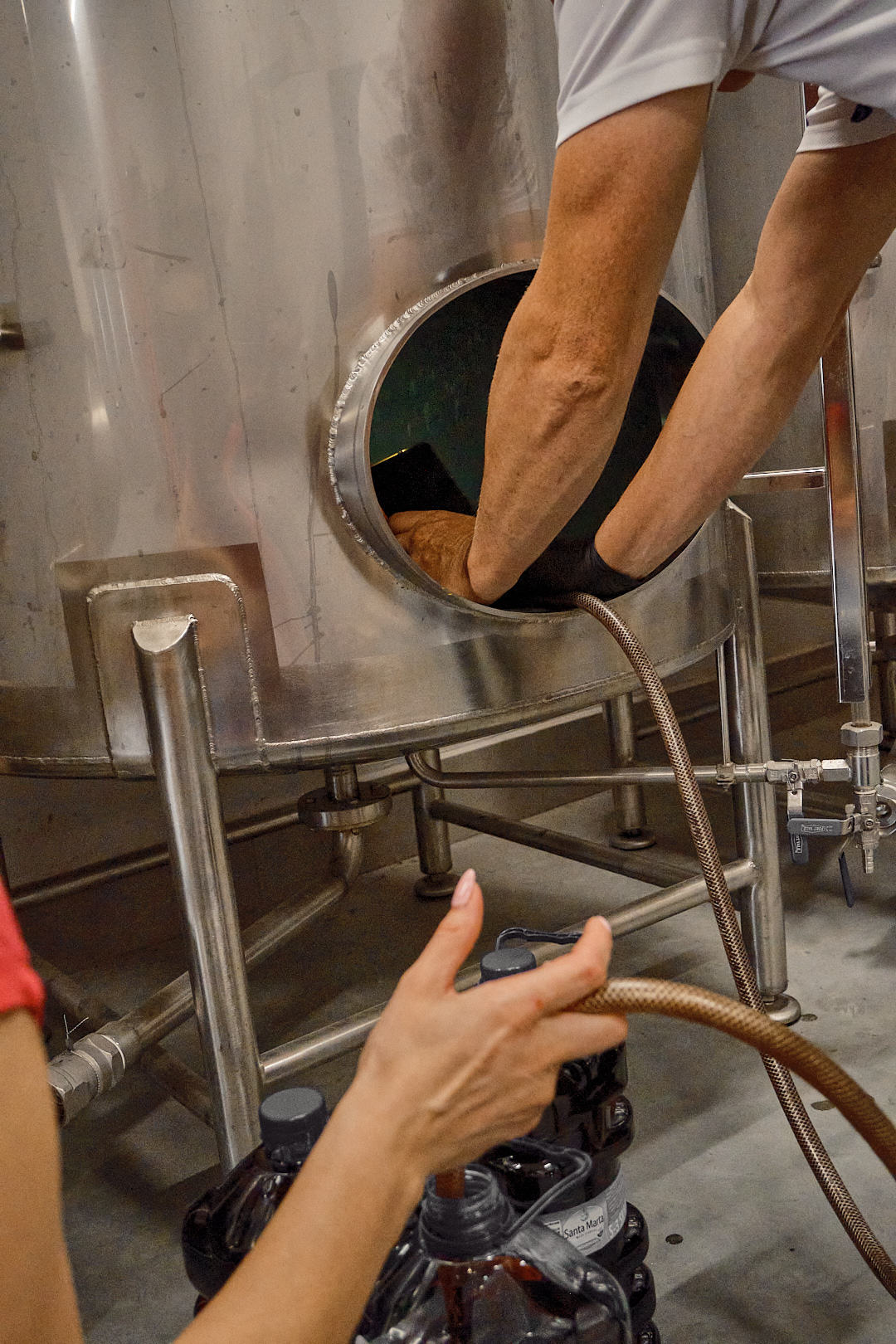 Loading fruit into maceration tank